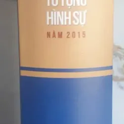 Bình Luận Khoa Học Bộ Luật Tố Tụng Hình Sự Năm 2015 717658