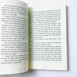 The city of Ember  - 4 quyển - No box 737794