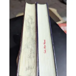 Lịch sử văn học trung quốc - nhiều tác giả 675559