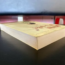 Người Đua diều  571174