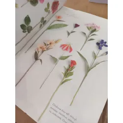 Fabulous faux florals - Ardith Beveridge 574759