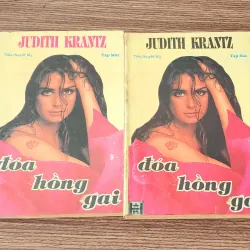 Tiểu thuyết ĐÓA HỒNG GAI - Judith Krantz (trọn bộ 2 tập 687 trang)