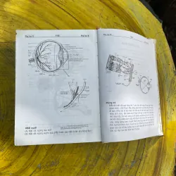 COMBO TỪ ĐIỂN Y HỌC ANH-VIỆT & ANH-ANH-VIỆT THÔNG DỤNG 731525