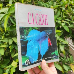 Cá Cảnh - PTS Sinh Học Võ Văn Chí