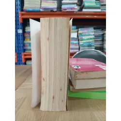 HOMETOWN HEARTBREAKERS (Vol 2) - Susan Mallery 178840