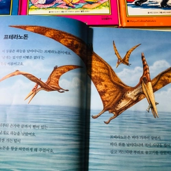 ✨ BỘ 13 TẬP “I CAN READ” – NGÔN NGỮ TIẾNG HÀN 🇰🇷📚( Seri 2) 544709