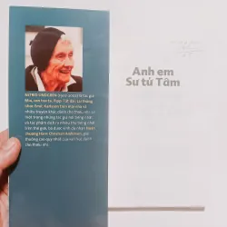 Anh Em Sư Tử Tâm - Astrid Lindgren 956977