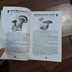 Tìm hiểu thế giới quanh ta - những loài nấm 530257