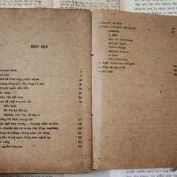 Konstantin Georgiyevich Paustovsky - tập truyện ngắn BÔNG HỒNG VÀNG 709260