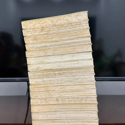 Truyện tranh Kobayashi 3+1 (Trọn bộ 16 tập) 521664