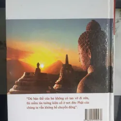 Niềm Tin Bất Hoại Đối Với Đức Phật -Thích Thái Hòa 687478