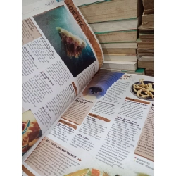 Guinness world records 2007 797797