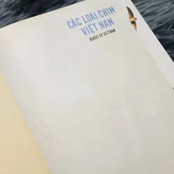 Các loài chim Việt Nam (Lê Mạnh Hùng) 736184