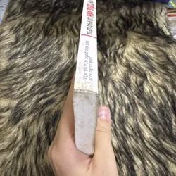 Bộ đề thi tuyển sinh & ôn luyện Tiếng Anh lớp 10 599849