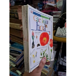 (TẶNG BOOKMARK) Các loài hoa, cá, côn trùng, bướm, đá và khoáng chất - mới 80% bẩn nhẹ - KHOA HỌC ĐỜI SỐNG - RBK0111