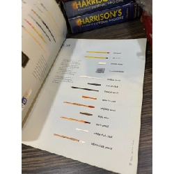 Drawing for Beginners - Vadim Koptiesky 738040