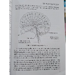 Điều trị bệnh thần kinh - Vũ Anh Nhị (chủ biên) 1004298
