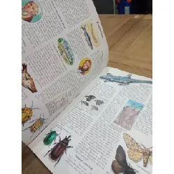 The Usborne book of scientists from Archimedes to Einstein - Reid and Fara 681771