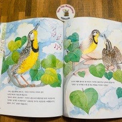 Set sách tranh cho bé 아이성장 그림책   496934