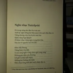Cửa biển tình yêu - Nguyễn Viết Lãm 1004227