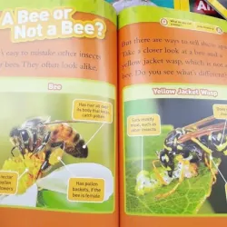 Sách Khoa học - National Geographic kids - Level 2 41 cuốn giấy bóng đẹp - tặng Audio 1000830