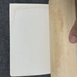 Sách Mưa nguồn - Bùi Giáng (1993) 739075