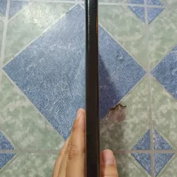 Nguyễn Bính - Thi sĩ của thương yêu 1000462