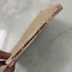 Tượng đồng đen một chân - Xuân Đức 997577