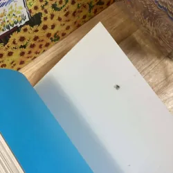 Tạp Chí Viết Và Đọc - Chuyên Đề Mùa Hạ 2020 970523