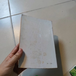Đêm về lá rụng 477150