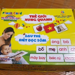 Bộ thẻ đọc Flashcard  21015