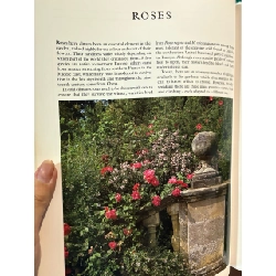 The garden designer selecting plants - Caroline Boisset and John Walker 1008072