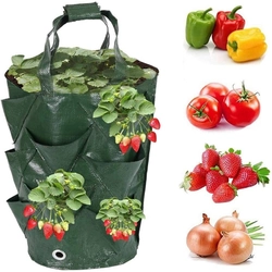 Túi Trồng Cây Bằng Vải 10 Gallon – Trồng Dâu, Cà Chua, Hoa, Rau Sạch – Có Quai 474076