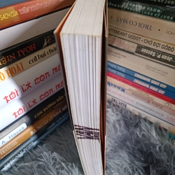Hoàng Cầm hồn thơ độc đáo 477902