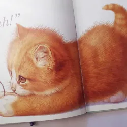 If You See a Kitten 993532