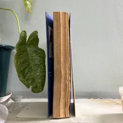 Nụ hôn của sói - Diệp Lạc Vô Tâm 755586