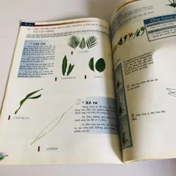 NGHỆ THUẬT CẮM HOA THỰC DỤNG ( CAO CẤP) 591878