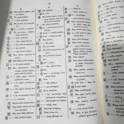 DICTIONARIUM ANAMITICO LATINUM | J.L.Taberd 500141