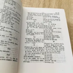 TỪ ĐIỂN VIỆT - HÁN 1000525