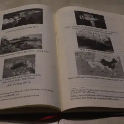 Văn hoá biển Miền Trung trong xã hội đương đại 991212