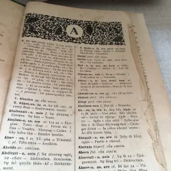 Từ điển La Việt 1001017