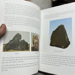 Nghệ thuật thưởng ngoạn đá cảnh 971284