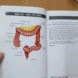 GIẢI PHẪU ĐẦU MẶT , NGỰC BỤNG, CHI TRÊN DƯỚI  760731