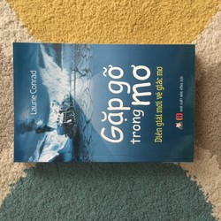 Gặp Gỡ trong Mơ - Laurie Conrad 143296