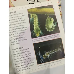 The Life Cycle of a Mosquito – Bobbie Kalman 559686