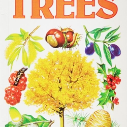 Usborne Spotter's Guides: Trees