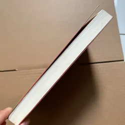 Kinh doanh như một cuộc chơi - Richard Branson 736137