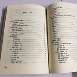 GIẢI PHẪU TẠO HÌNH 539433
