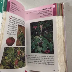 Từ điển tranh về các loài cây - Lê Quang Long  751505