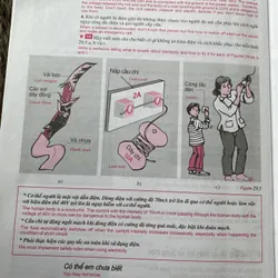 (Song ngữ) Vật Lí 7 song ngữ Việt Anh 603168